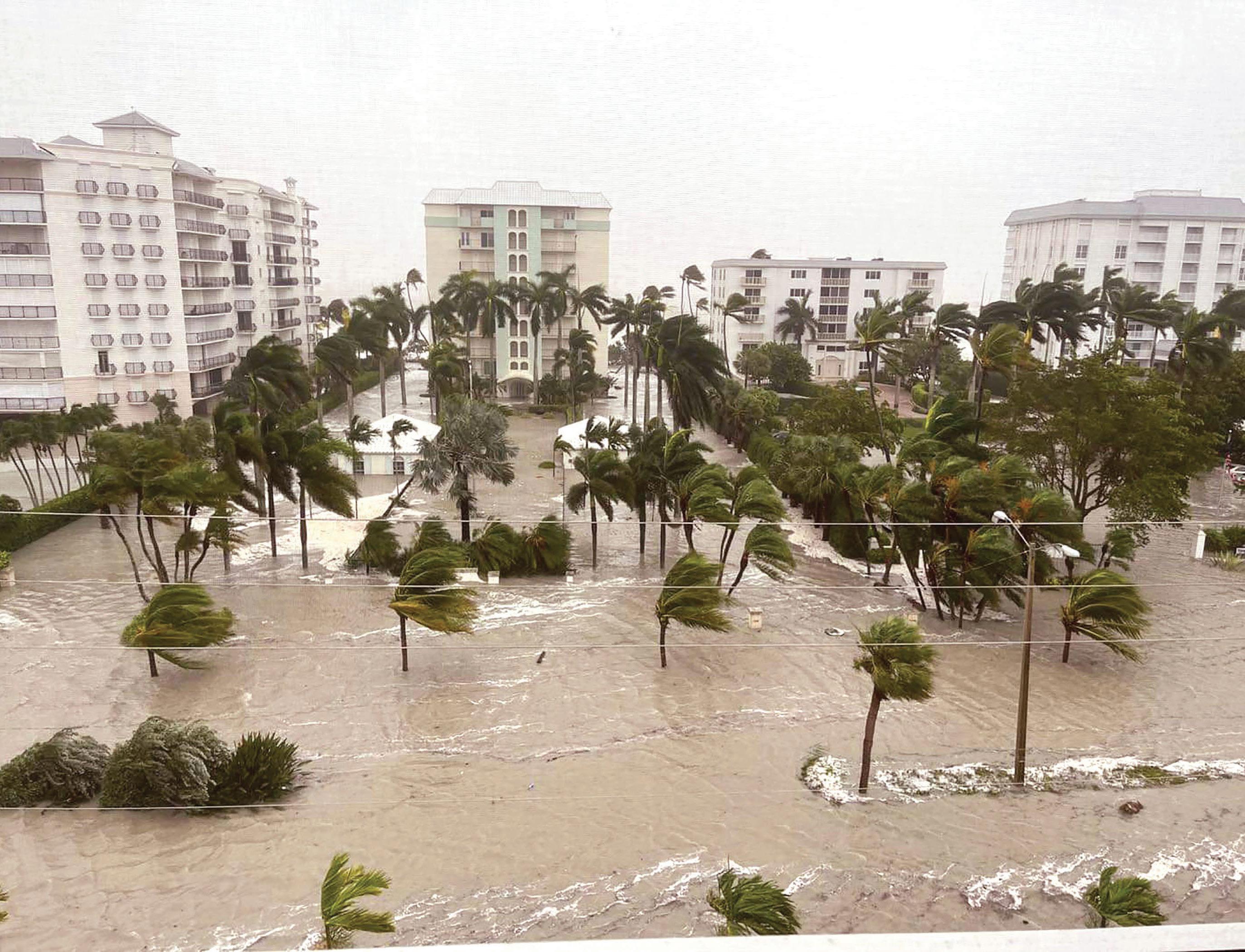 STORM RECOVERY